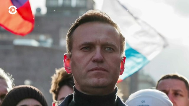 На навального завели уголовное дело о клевите на ветерана